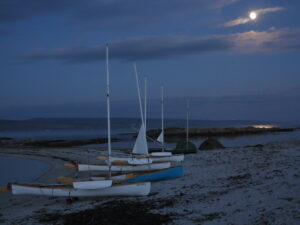Cara in moonlight